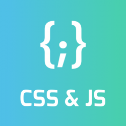Module PrestaShop - Personnalisation CSS et JS